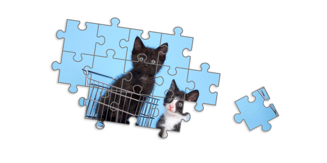 Coșul tău de cumpărături este gol.